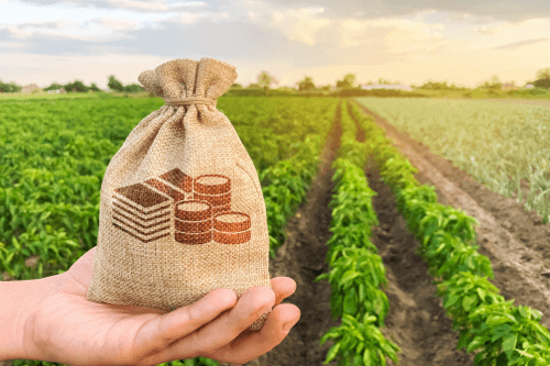 Consultoria financeira no agronegócio para otimizar recursos e garantir sustentabilidade.
